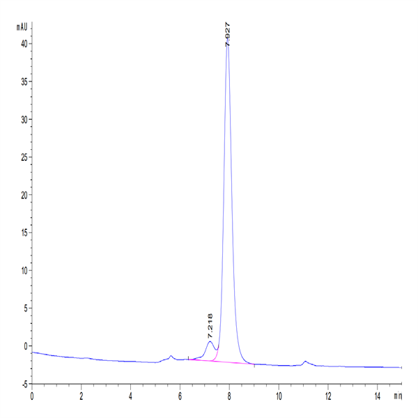 Human CD161 Protein (CD1-HM261)
