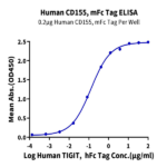 Human CD155/PVR Protein (CD1-HM355)