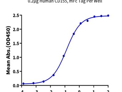 Human CD155/PVR Protein (CD1-HM355)