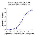 Human CD155/PVR Protein (CD1-HM355)