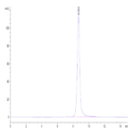 Human IL-2 R beta/CD122 Protein (CD1-HM422)