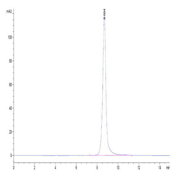 Human IL-2 R beta/CD122 Protein (CD1-HM422)