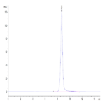 Biotinylated Human IL-2 R beta/CD122 Protein (CD1-HM422B)