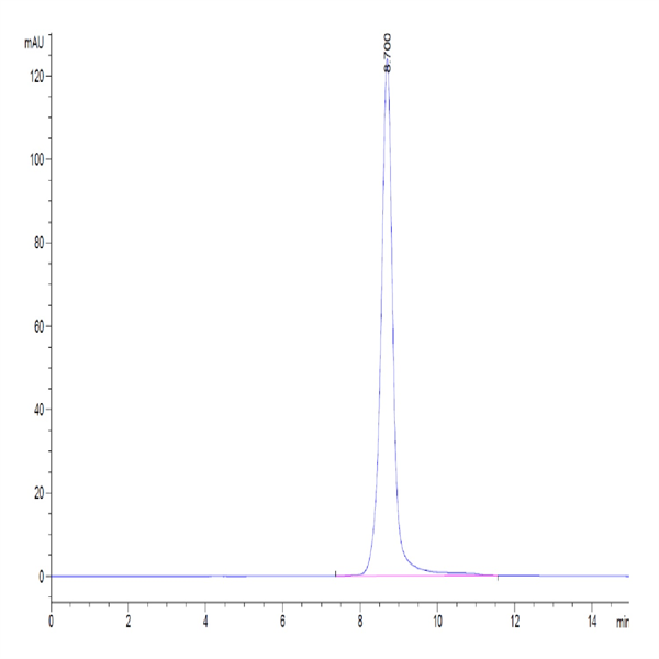 Biotinylated Human IL-2 R beta/CD122 Protein (CD1-HM422B)