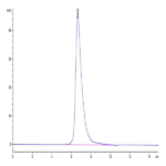 Human IL-2 R gamma/CD132 Protein (CD1-HM432)