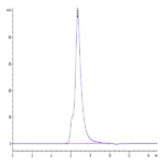 Biotinylated Human IL-2 R gamma/CD132 Protein (CD1-HM432B)