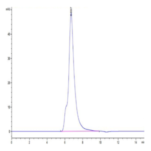 Biotinylated Human IL-2 R gamma/CD132 Protein (CD1-HM432B)