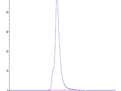 Biotinylated Human IL-2 R gamma/CD132 Protein (CD1-HM432B)