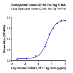 Biotinylated Human CD155/PVR Protein (CD1-HM455B)