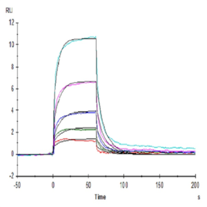 Human CD160 Protein (CD1-HM460)