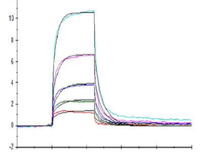 Human CD160 Protein (CD1-HM460)