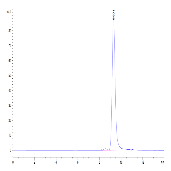 Biotinylated Human CD161 Protein (CD1-HM461B)