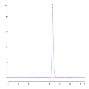 Mouse CD14 Protein (CD1-MM114)