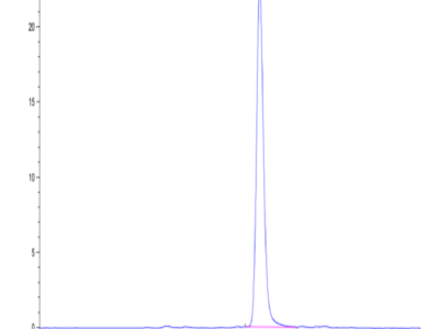 Mouse CD14 Protein (CD1-MM114)