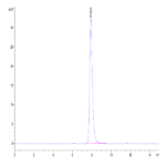 Mouse CD117 Protein (CD1-MM117)