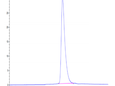 Mouse IL-2 R gamma/CD132 Protein (CD1-MM132)