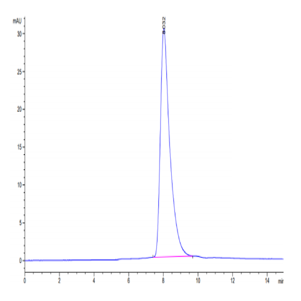 Mouse IL-2 R gamma/CD132 Protein (CD1-MM132) Mouse IL-2 R gamma/CD132 Protein (CD1-MM132)