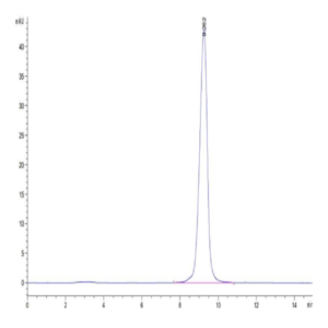Mouse CD161 Protein (CD1-MM161)