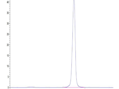 Mouse CD161 Protein (CD1-MM161)