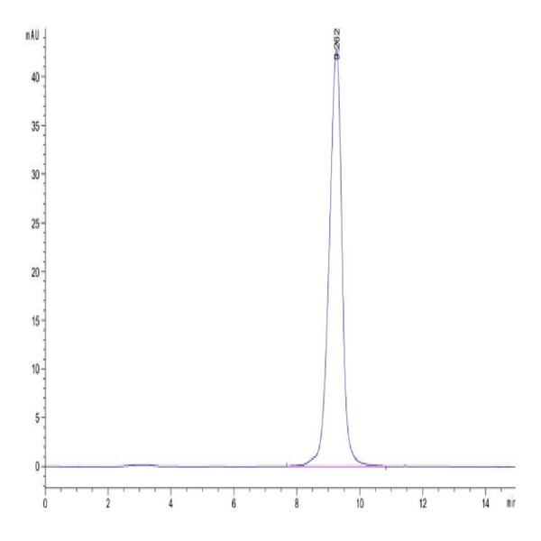 Mouse CD161 Protein (CD1-MM161)