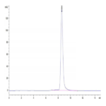 Mouse CD163 Protein (CD1-MM163)
