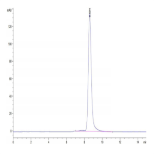 Mouse CD163 Protein (CD1-MM163)