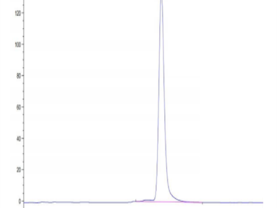 Mouse CD163 Protein (CD1-MM163)