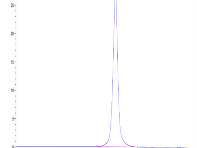 Mouse CD160 Protein (CD1-MM260)