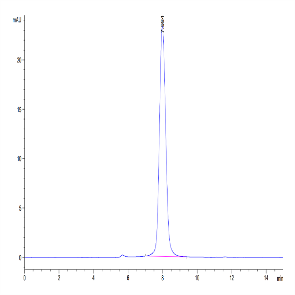 Mouse CD155/PVR Protein (CD1-MM455)