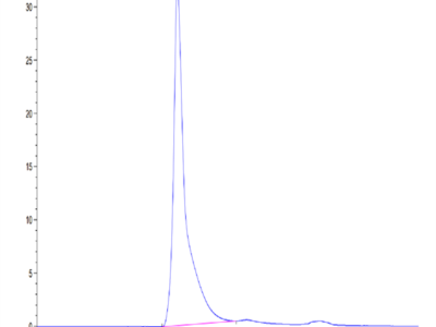 Cynomolgus CD24 Protein-VLP (CD2-CM124V)