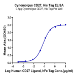Cynomolgus CD27/TNFRSF7 Protein (CD2-CM127)