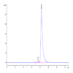 Cynomolgus CD27/TNFRSF7 Protein (CD2-CM127)