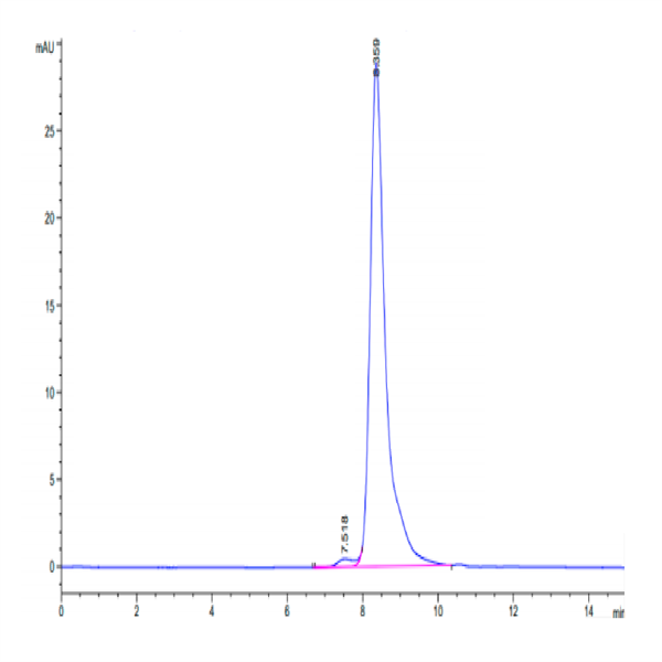 Cynomolgus CD27/TNFRSF7 Protein (CD2-CM127)