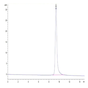 Cynomolgus CD2/SRBC Protein (CD2-CM202)