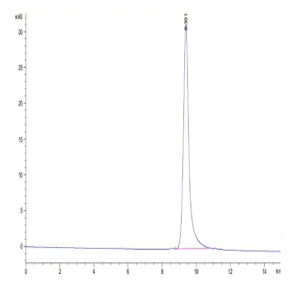 Cynomolgus CD2/SRBC Protein (CD2-CM202)