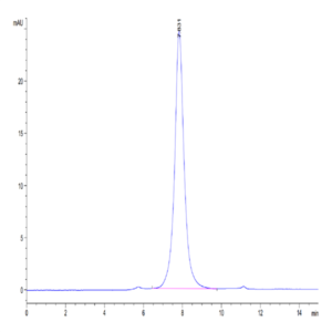 Cynomolgus CD24 Protein (CD2-CM224)