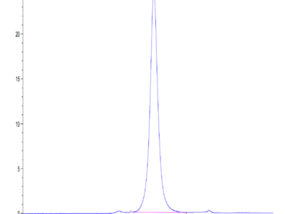 Cynomolgus CD24 Protein (CD2-CM224)