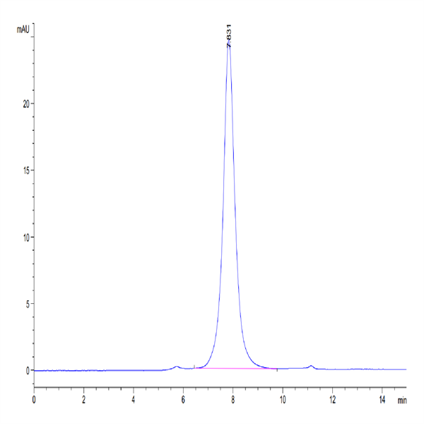 Cynomolgus CD24 Protein (CD2-CM224) Cynomolgus CD24 Protein (CD2-CM224)