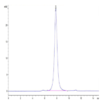 Biotinylated Cynomolgus CD24 Protein (Primary Amine Labeling) (CD2-CM224B)
