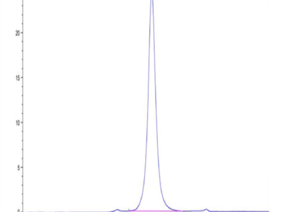 Biotinylated Cynomolgus CD24 Protein (Primary Amine Labeling) (CD2-CM224B)