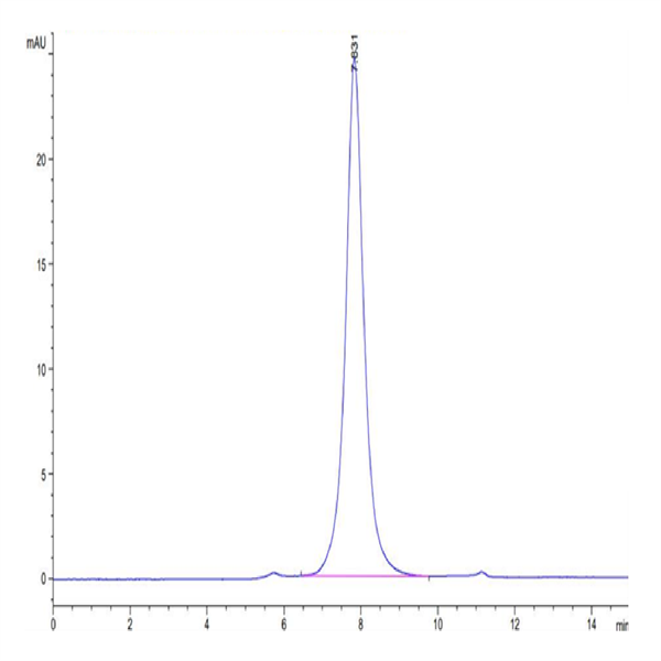 Biotinylated Cynomolgus CD24 Protein (Primary Amine Labeling) (CD2-CM224B) Biotinylated Cynomolgus CD24 Protein (Primary Amine Labeling) (CD2-CM224B)