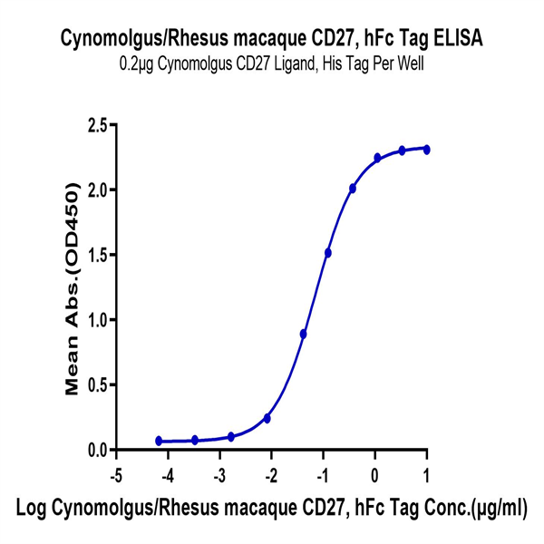 Cynomolgus/Rhesus macaque CD27/TNFRSF7 Protein (CD2-CM227) Cynomolgus/Rhesus macaque CD27/TNFRSF7 Protein (CD2-CM227)