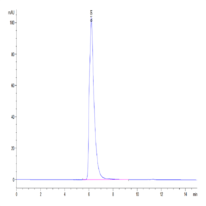 Cynomolgus/Rhesus macaque CD27/TNFRSF7 Protein (CD2-CM227)
