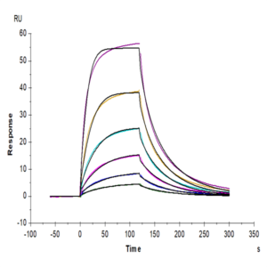Cynomolgus CD200 R1/CRTR2 Protein (CD2-CM4R1)