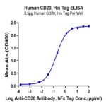 Human CD20/MS4A1 Protein (CD2-HE120)