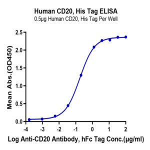 Human CD20/MS4A1 Protein (CD2-HE120)