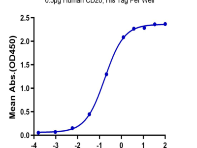 Human CD20/MS4A1 Protein (CD2-HE120)