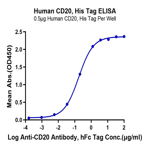 Human CD20/MS4A1 Protein (CD2-HE120) Human CD20/MS4A1 Protein (CD2-HE120)