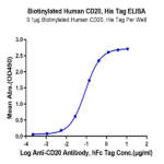 Biotinylated Human CD20/MS4A1 Protein (CD2-HE120B)