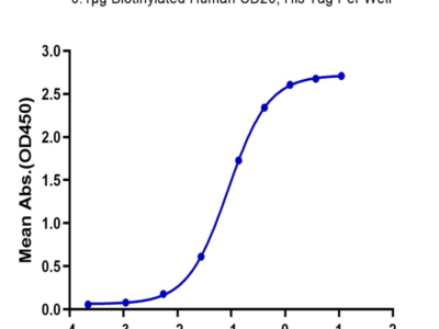 Biotinylated Human CD20/MS4A1 Protein (CD2-HE120B)